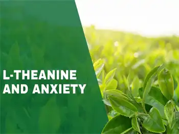 How Green Tea Extract L Theanine Reduces Anxiety？